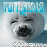 Tuff Seals