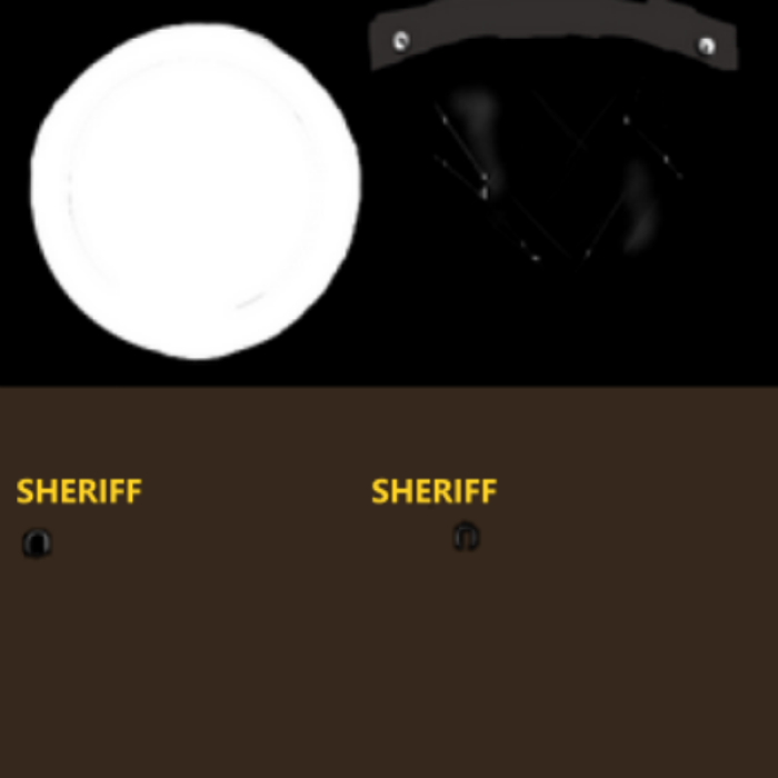 RIOT test Roblox decal