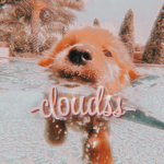 -cloudss-
