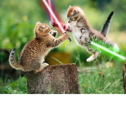 The N.i.n. Lives Kittie Arena