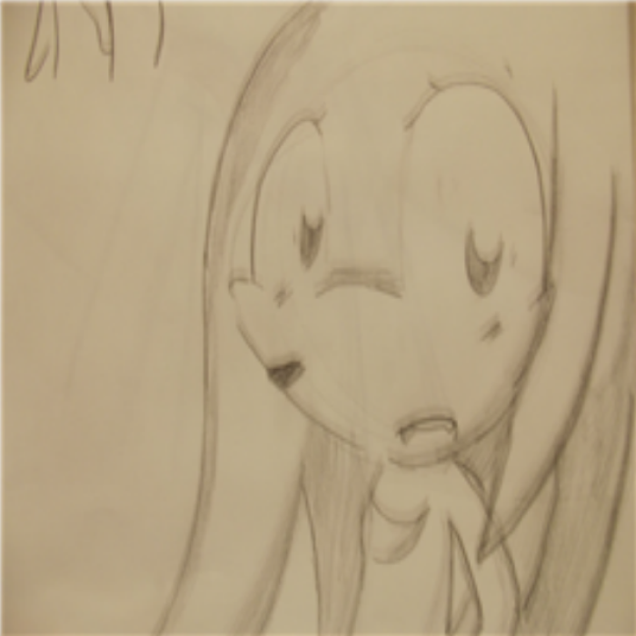 Knuckles the Echidna Drawing Roblox decal