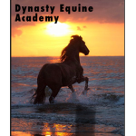 Dynasty Equine Academy