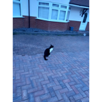 Cheeky and sneaky