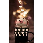 Carolina_piggy