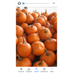 Pumpkin army 0_0