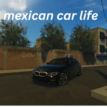 mexican driving RP