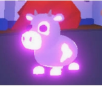 Family of cow's