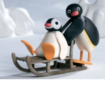 Pingu’s fan group