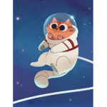 Space Cat Studios (SCS)