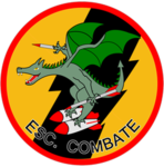 Escuadrón de combate