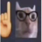 Sotano de seguidores <3