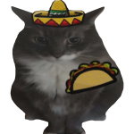 Eyatigrod after eating tacos