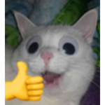 rtterfdgbfddtgvr tfygvt rgb