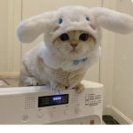 lankybox_fan group