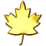 ~ Golden Leaf Explorations ~
