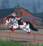 L.Equestrian Academy