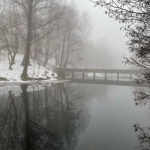 winter, 2016
