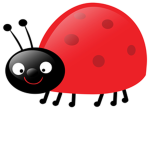 lady bug