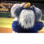The baseball rays team fan
