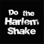 ~Harlem Shake Fans~