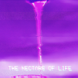 _DDONY* 놀는곳