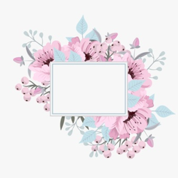 The Aesthetic Room