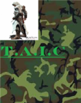 The Assassins In Camo