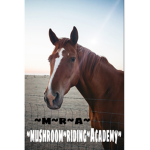 ~Mushroom~Riding~Academy~