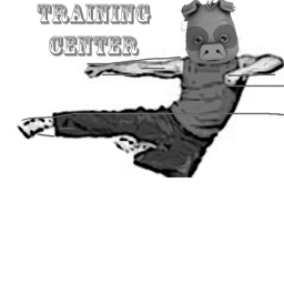 Kung Fu Corp Obby Training