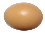 The is the is of do