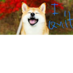 Doggos B)