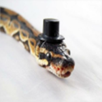 Republic of Reptiles