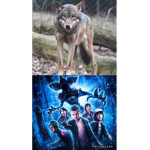 Stranger Wolf For Ever