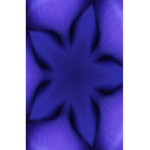 Talia's design