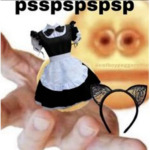 THE MAID CULT (+catboys)
