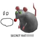Amazing rats group