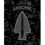 Task Force 51 [TF51]