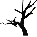 Spooky_Studios