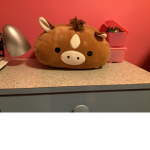 Philip THE horse