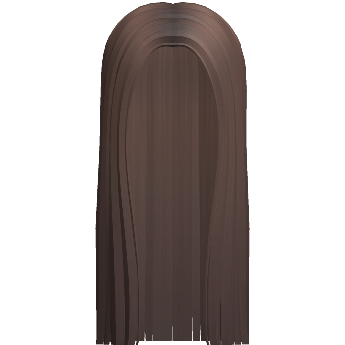 Long Straight Hair (Brown)