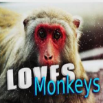 LovesMonkeys
