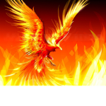 On Fire Clothing