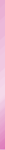 Banner 1
