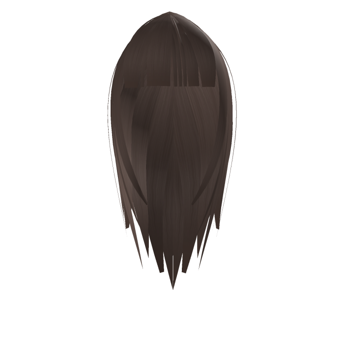 Light brown long hair with bangs