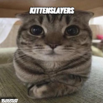 死KS