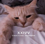 XXIVV