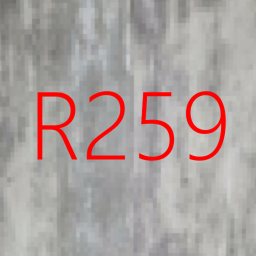 Room 259 (Read Desc.)