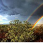 The Double Rainbow Group