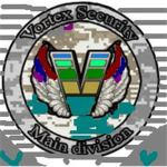 Vortex Sercurity!