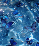 LovelyButterflySquad